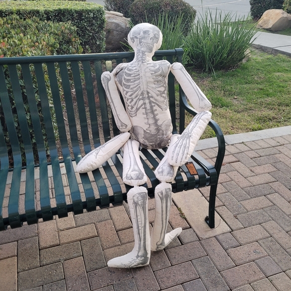 New John Derian XL Skeleton pillow home decor goth Gothic apothecary skull - Picture 3 of 10